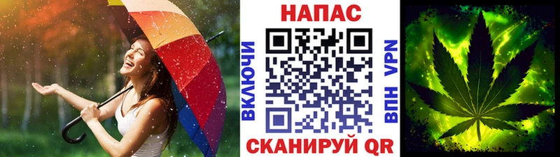 OMG как зайти  Шагонар  Бошки марихуана гибрид 
